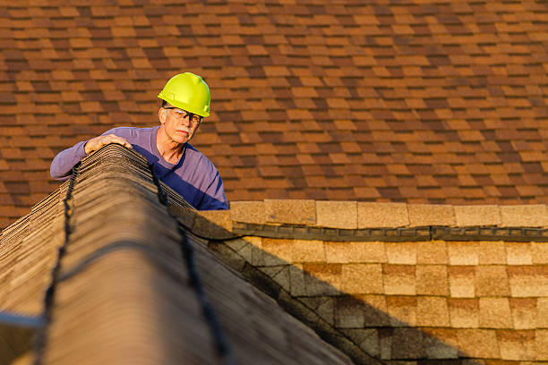 Best Roof Maintenance Services  in Harrisville, UT